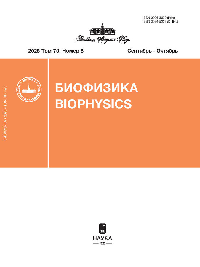 Логотип Заголовка Страницы