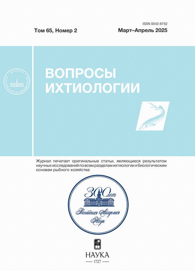 Page Header Logo