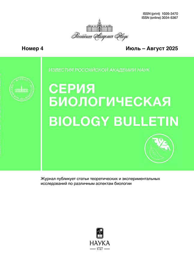 Page Header Logo