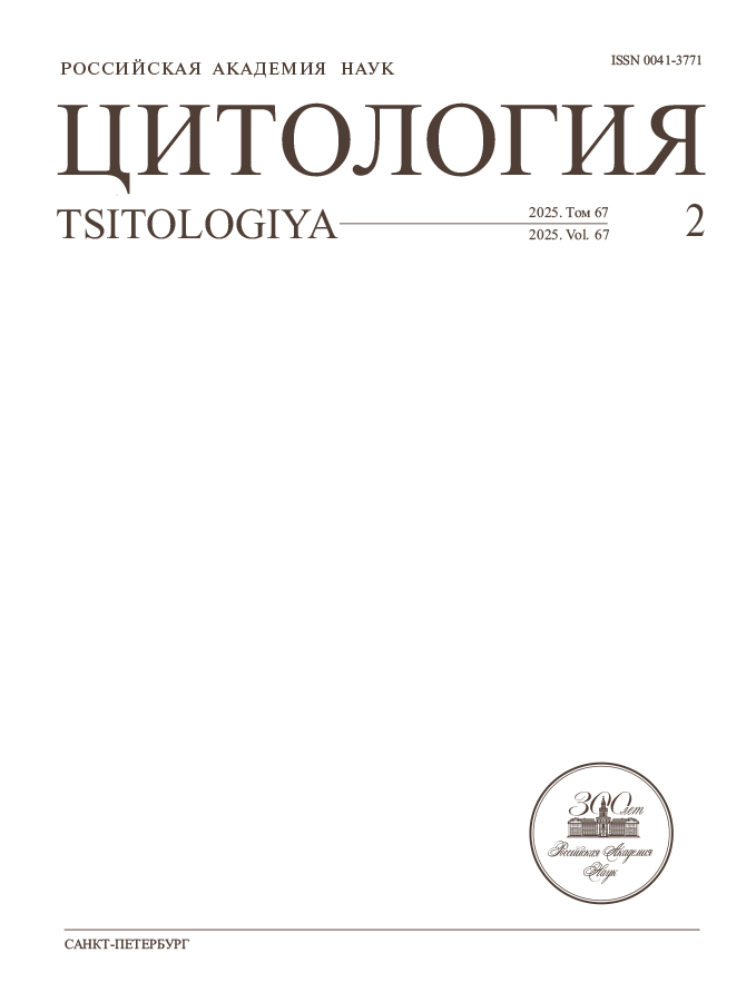 Page Header Logo